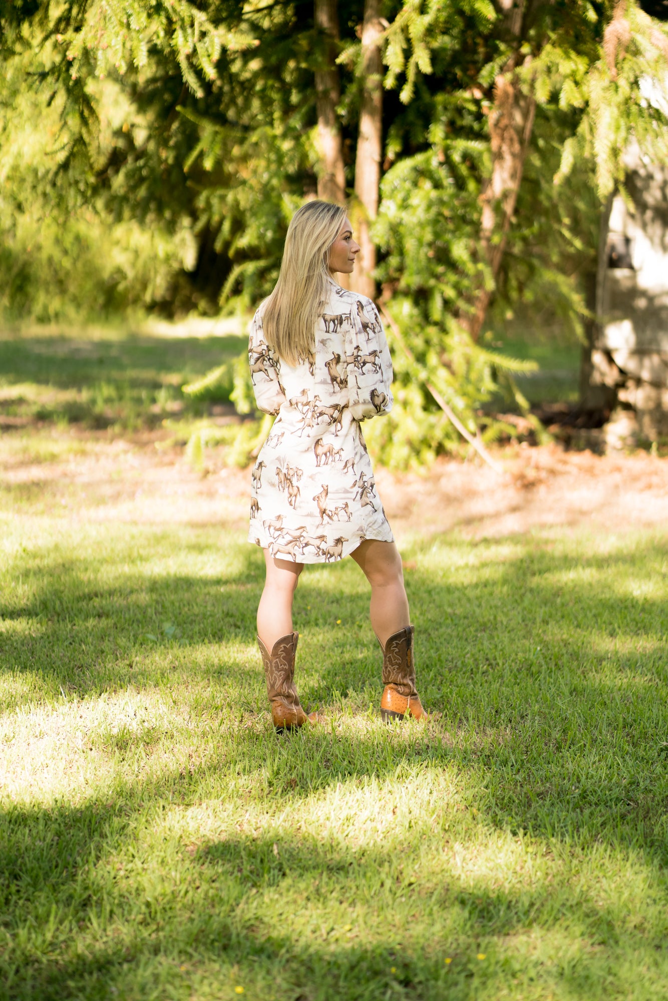 Wild & Free Kenzie Pearl Snap Dress